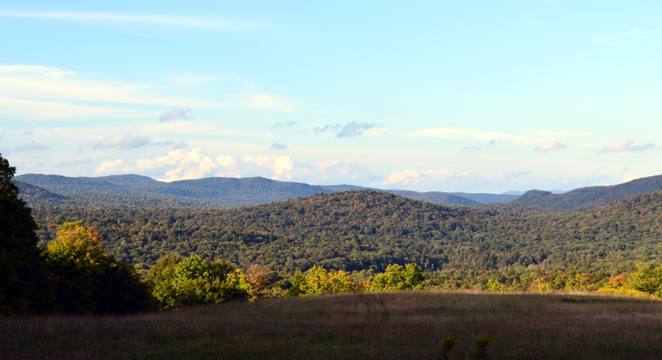 Morehouse + Hoffmeister NY Real Estate, Homes + Land in the Adirondacks